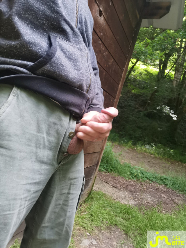 bites de Frankdu19