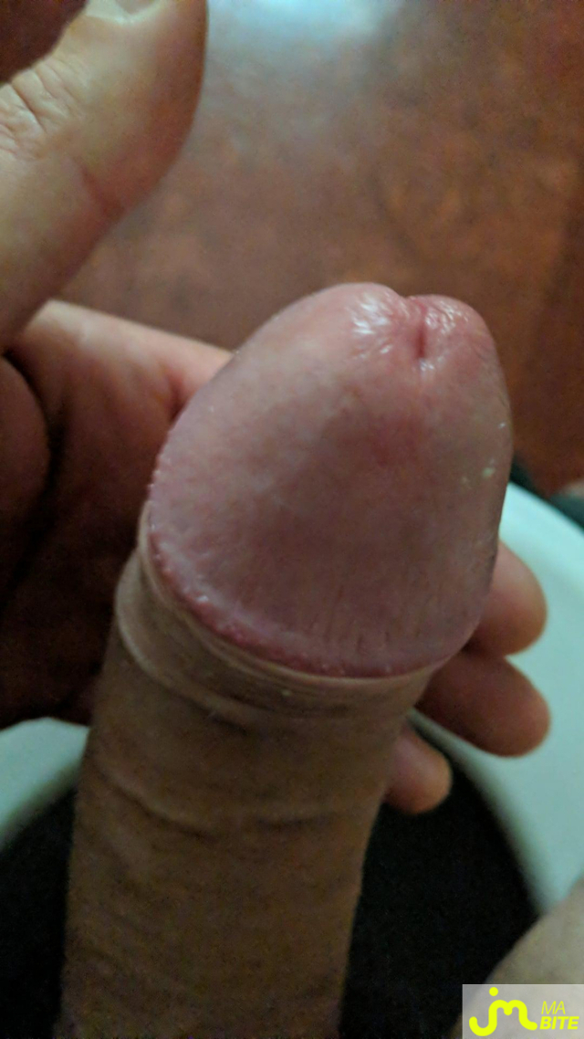 bites de Curieux1z