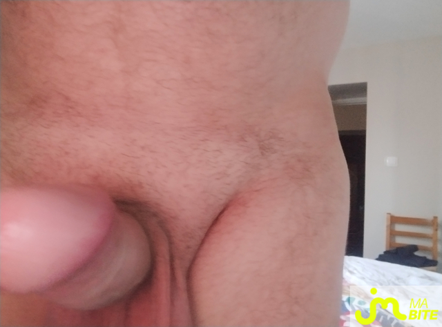 bites de ZZ63