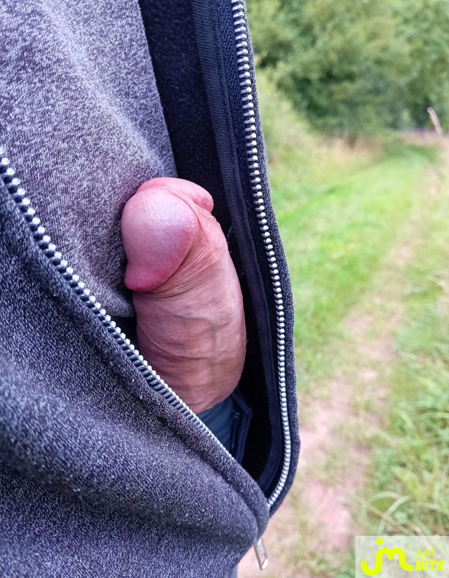 bites de Gunt