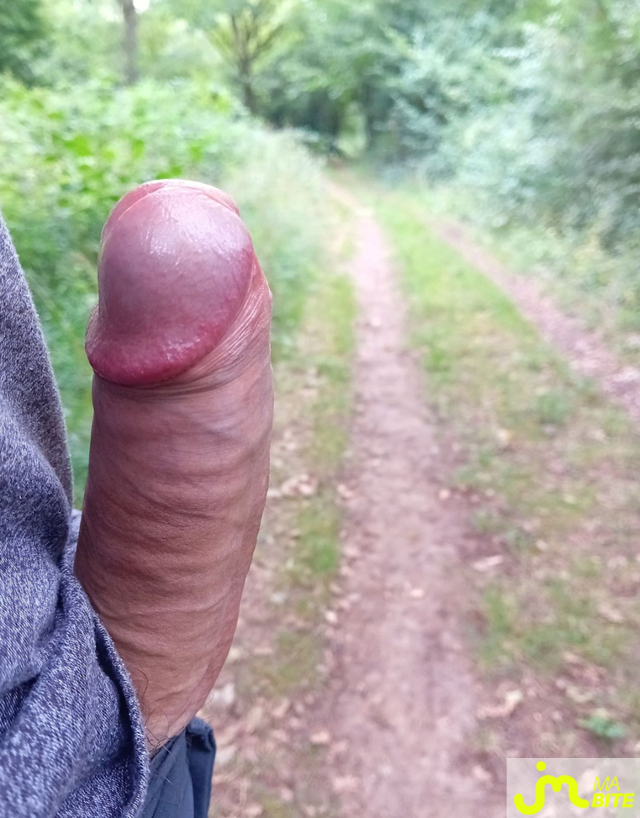 bites de Gunt