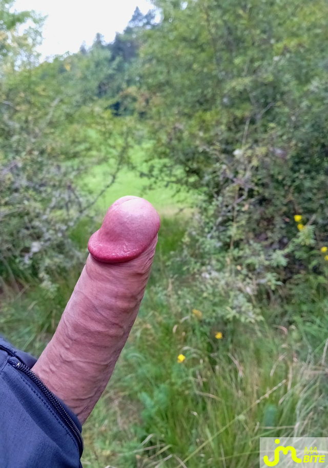 bites de Gunt