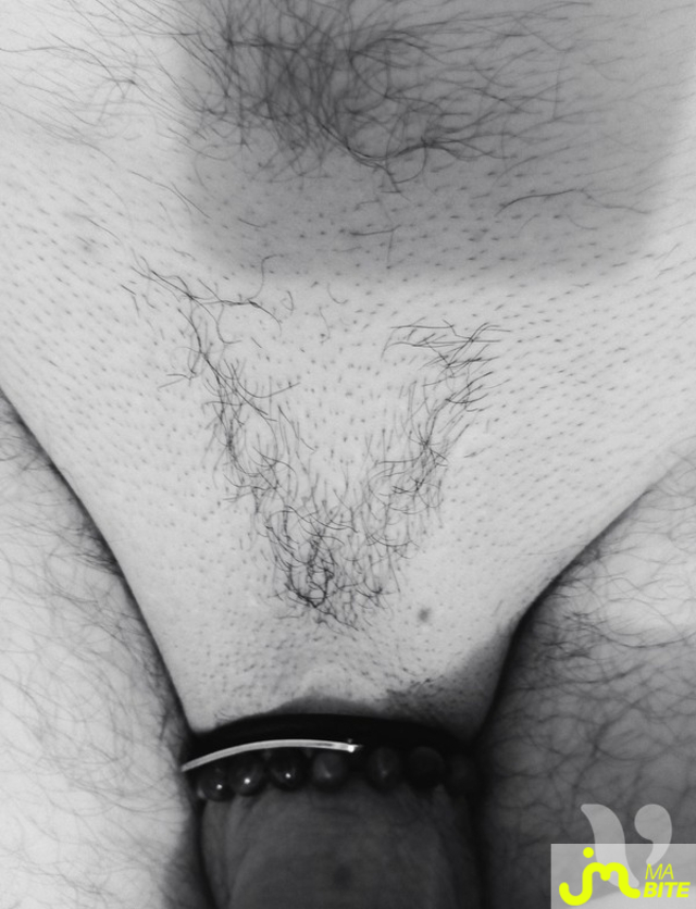 bites de SExhibe 3