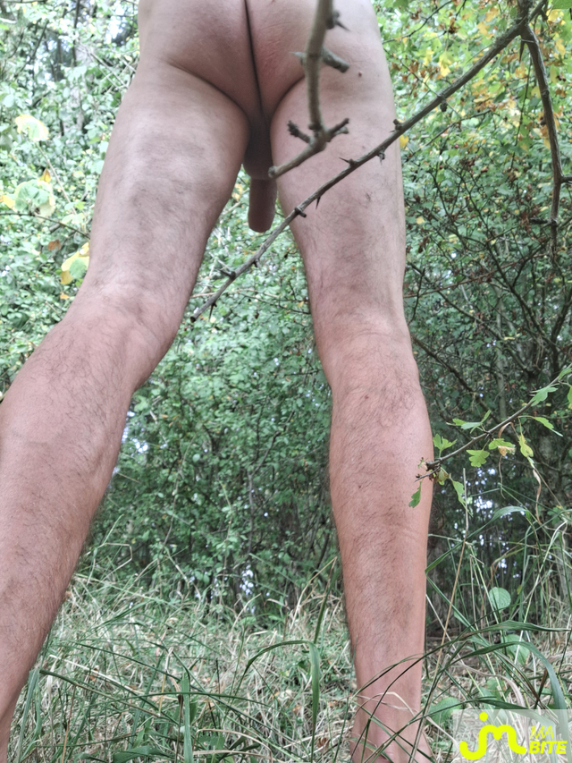 bites de Naturist54