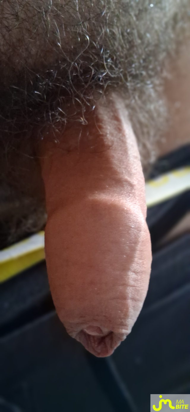 bites de Couple calins