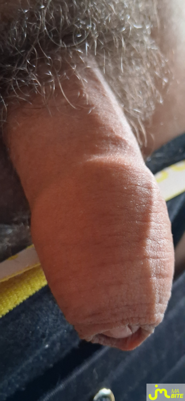 bites de Couple calins