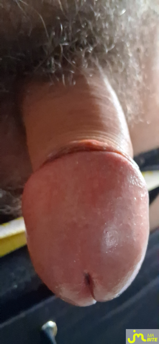 bites de Couple calins