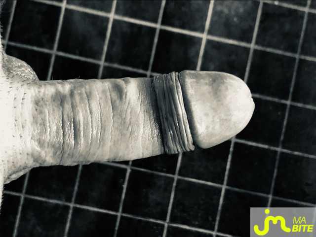 bites de Jo7300