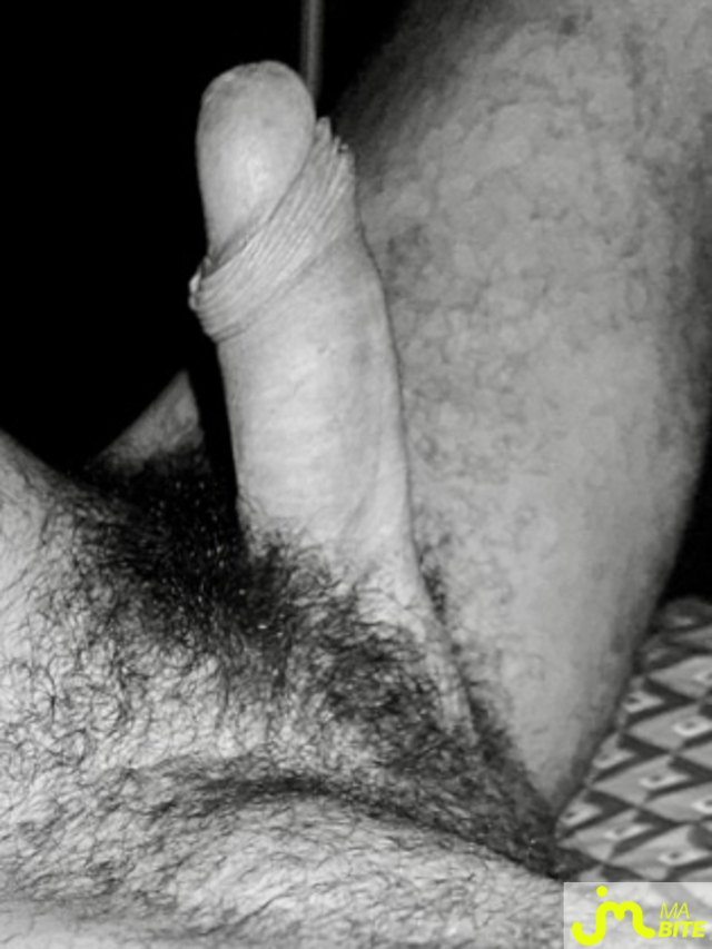 bites de Couplebibaiseurs