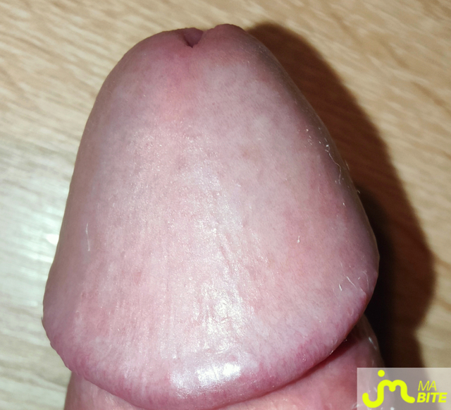 bites de Tintus