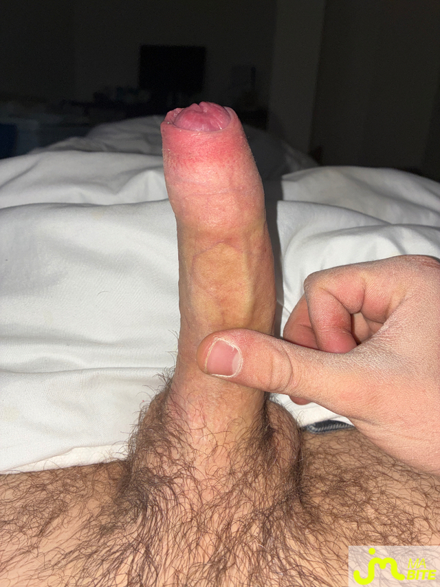 bites de Sexe3737
