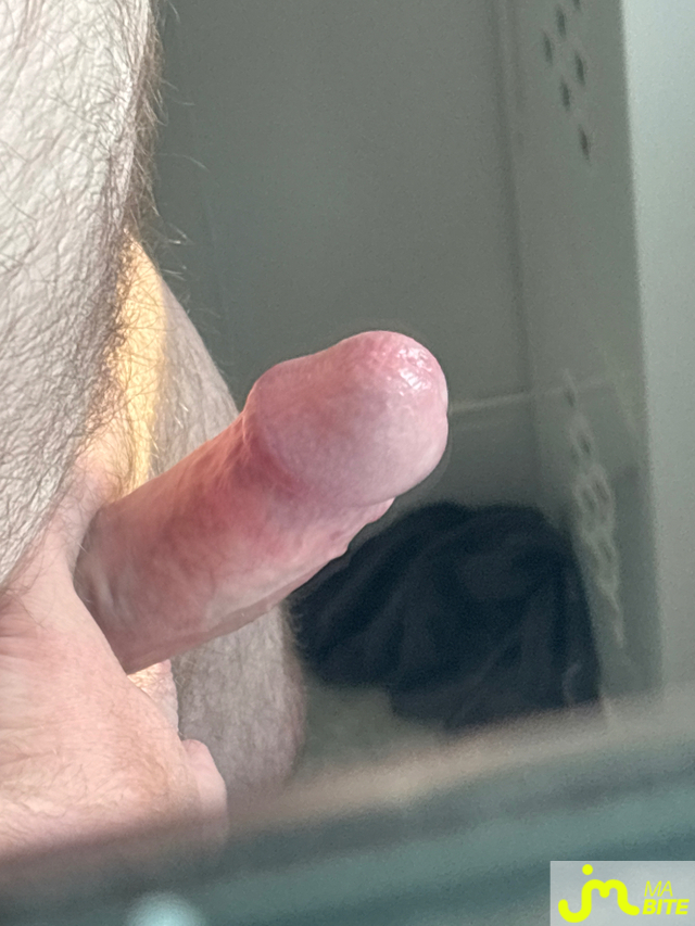 bites de Bsbb1981