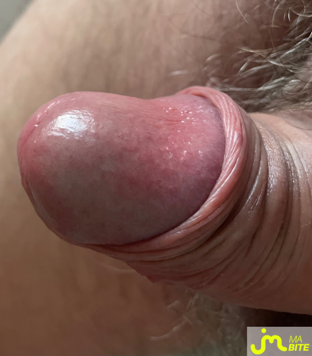 bites de Mature66