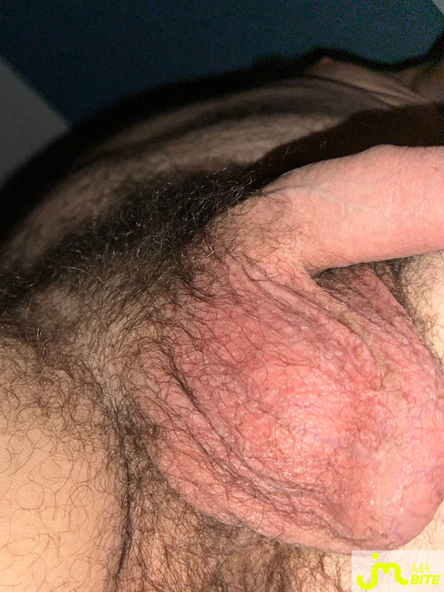 bites de Couplebibaiseurs