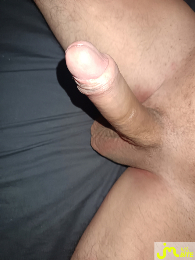 bites de lion35