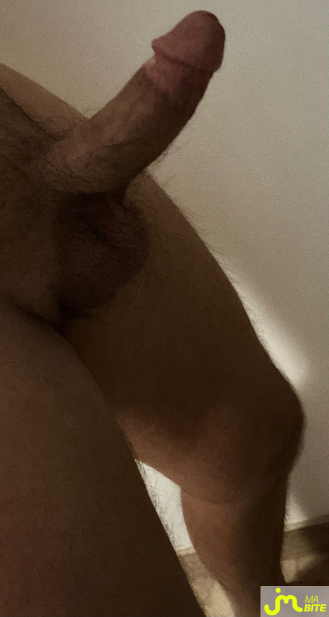 bites de Lionceau687