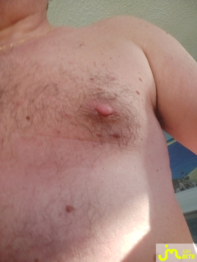 bites de Paris753