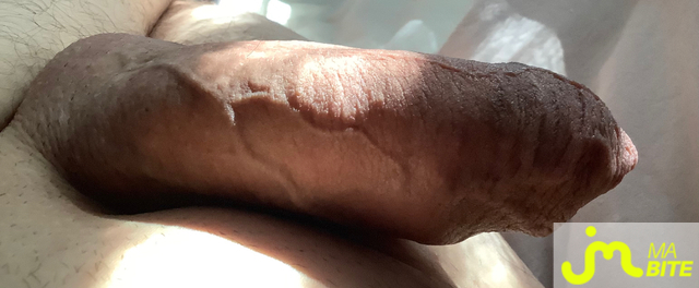 bites de Petr
