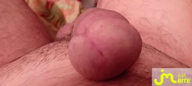 bites de Al62