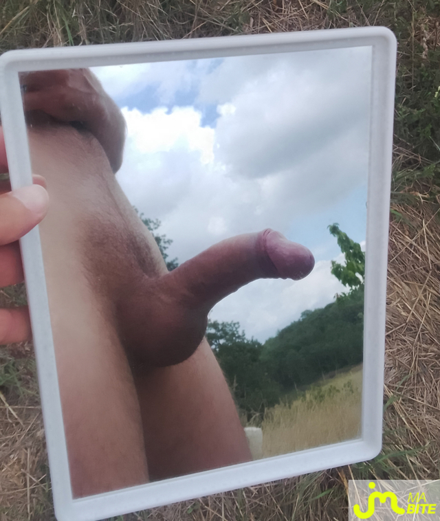 bites de Gre12