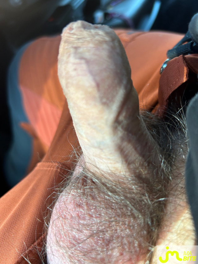 bites de Pertti