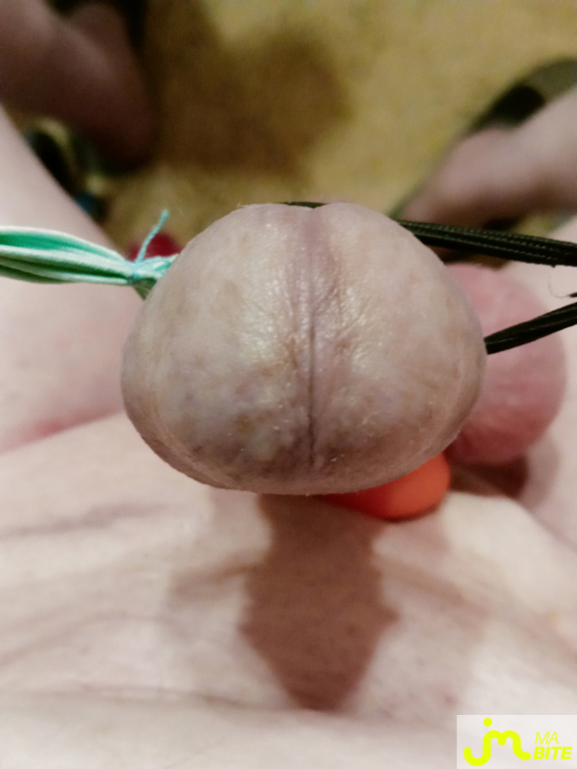 bites de levieux57