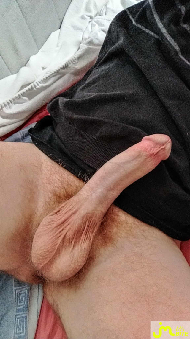 bites de lez