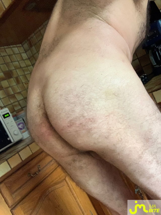 bites de Oregon_83