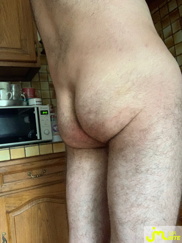 bites de Oregon_83