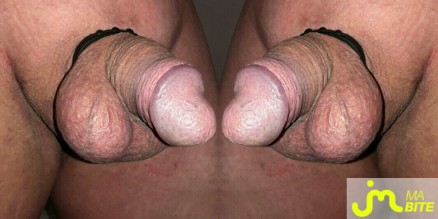 bites de Marc57000
