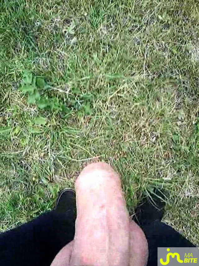 bites de Veys 59