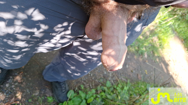 bites de Nicolas 68760