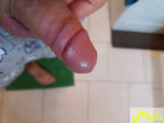 bites de CougarLover59