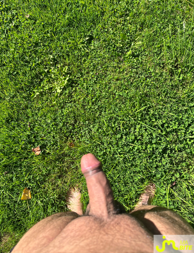 bites de Chat