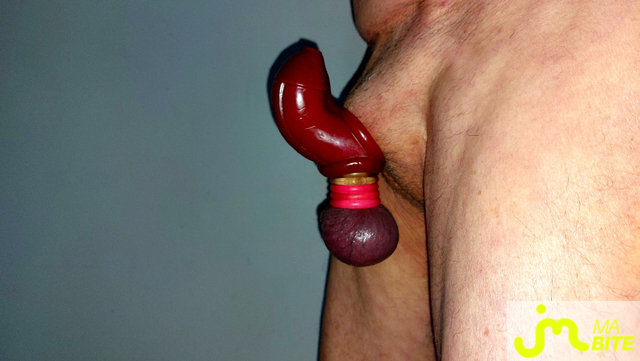 bites de Vxmâlebi46