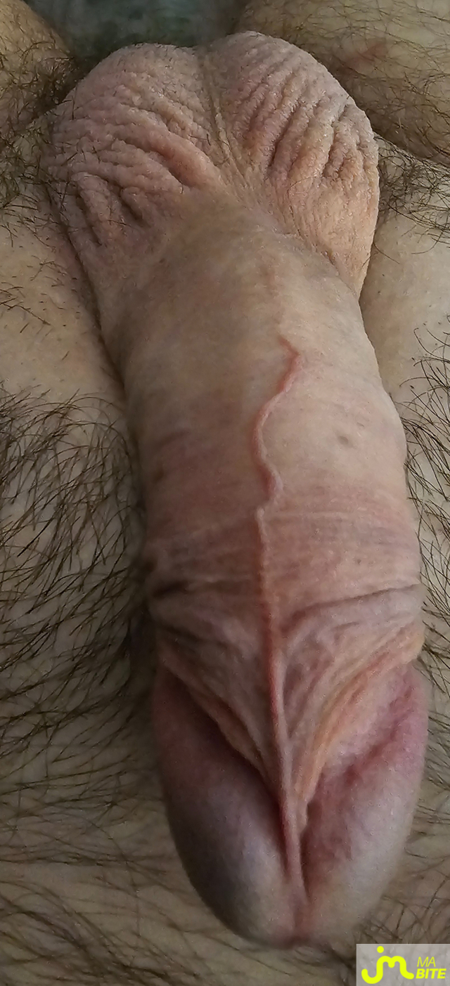 bites de gland_à_téter