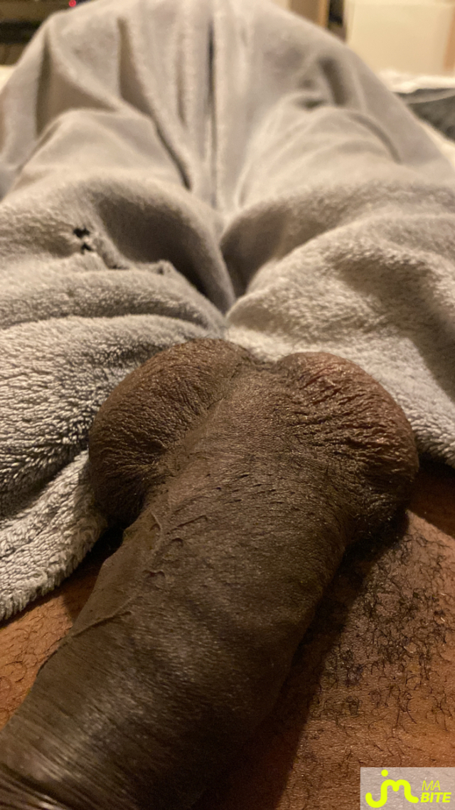 bites de Gros bambou63