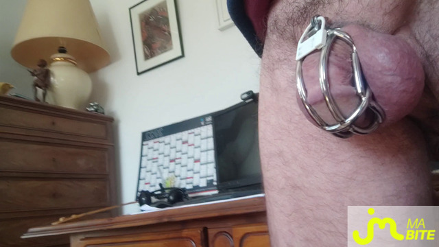 bites de jeanpascal47500