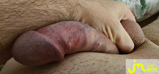 bites de gland_à_téter