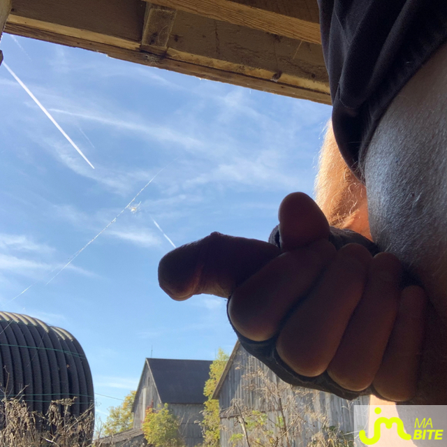 bites de alrun
