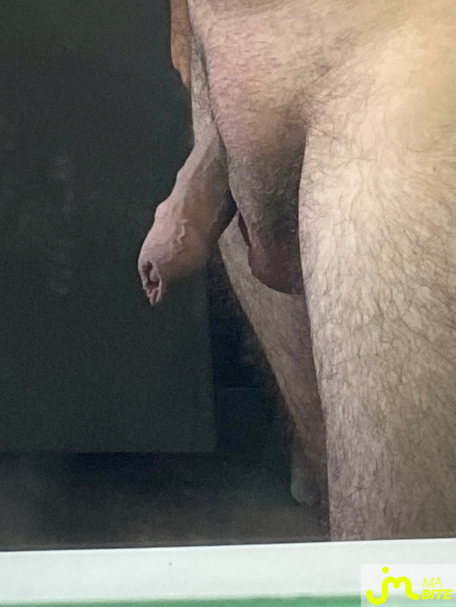 bites de Bambino