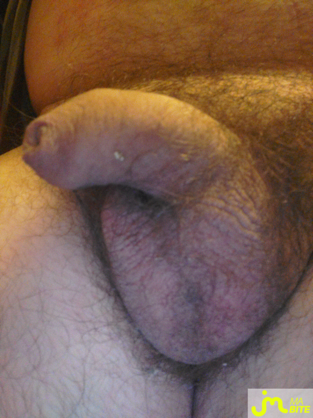 bites de Jimexib