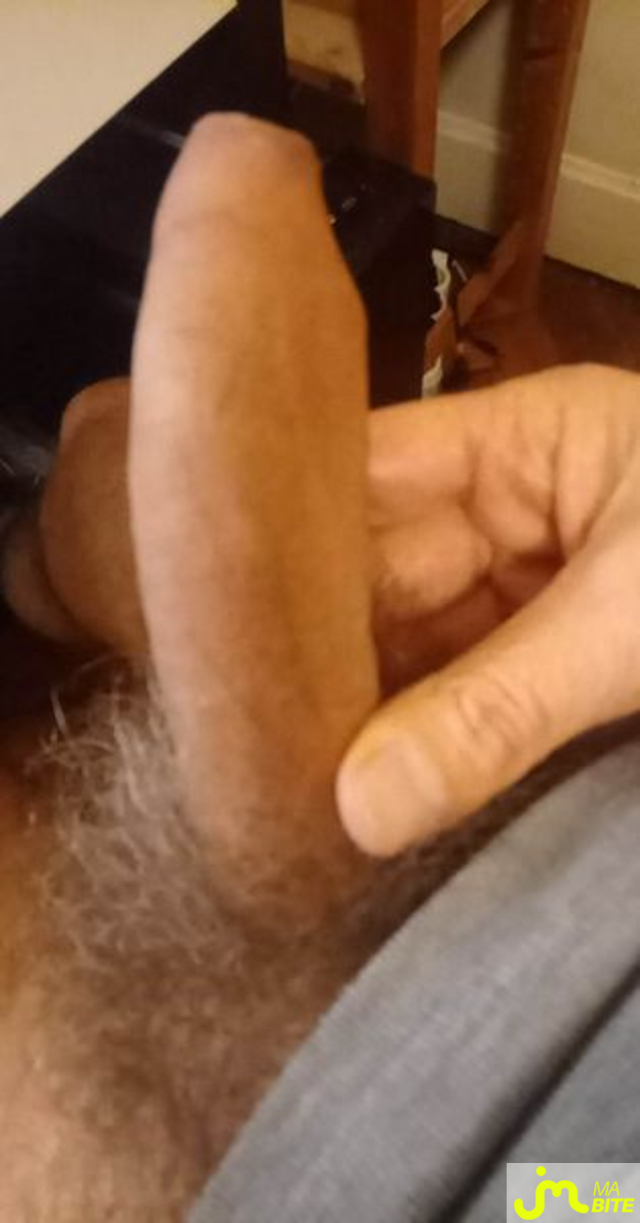 bites de PatThePat