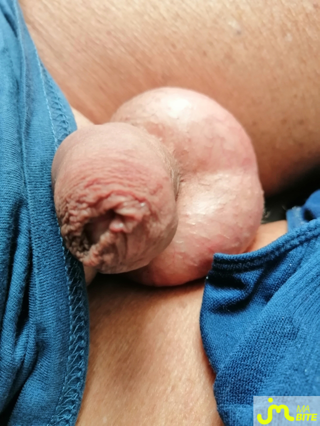 bites de Le Grand Houdini