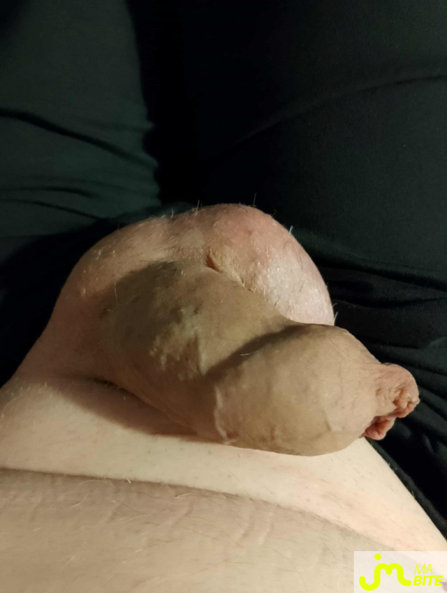 bites de Veys 59