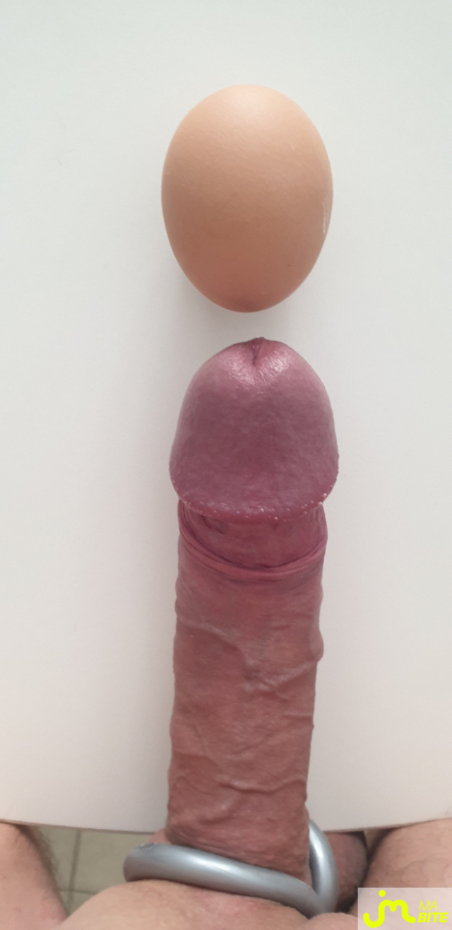 bites de Target69