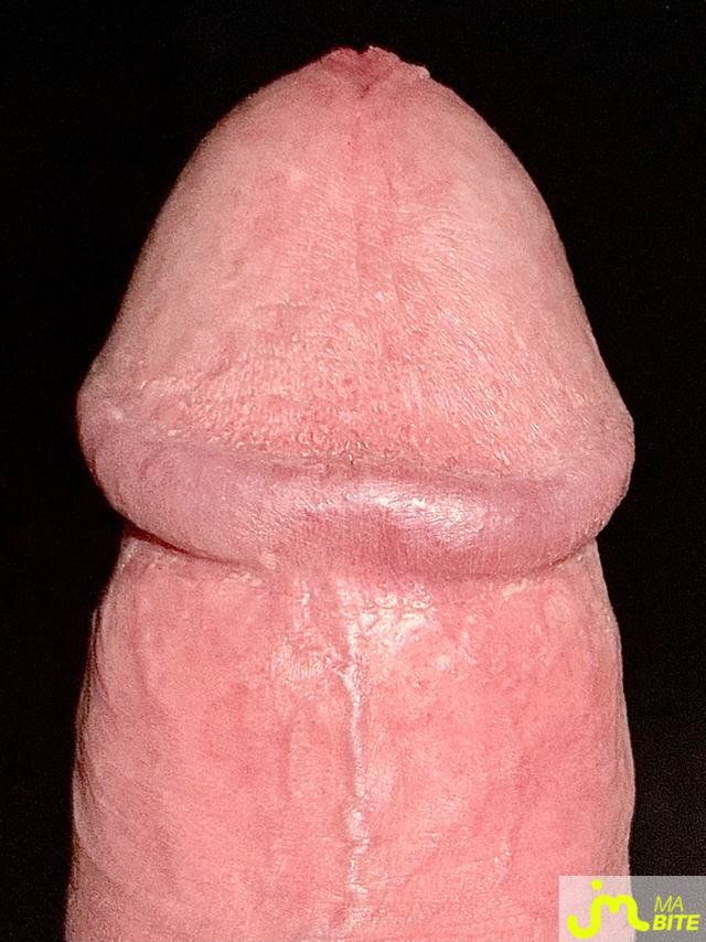 bites de Lesvieuxamants