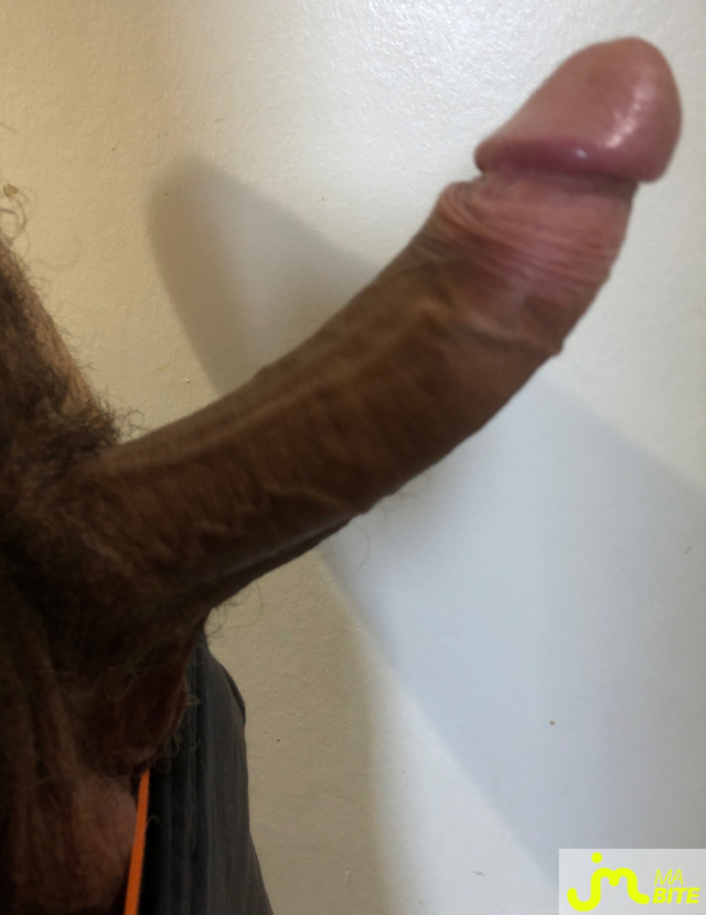 bites de Jusdebite