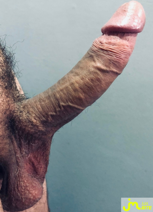 bites de Jusdebite