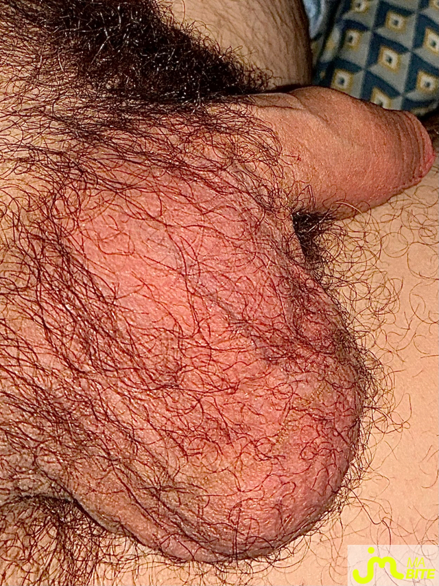 bites de Lesvieuxamants